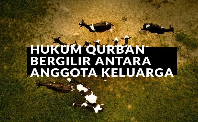 Hukum Qurban Bergilir Antar Anggota Keluarga