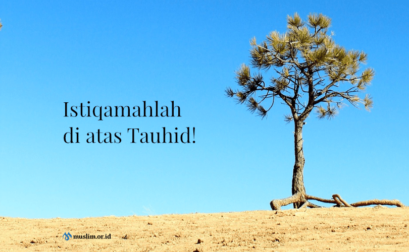 Istiqamah di atas Tauhid