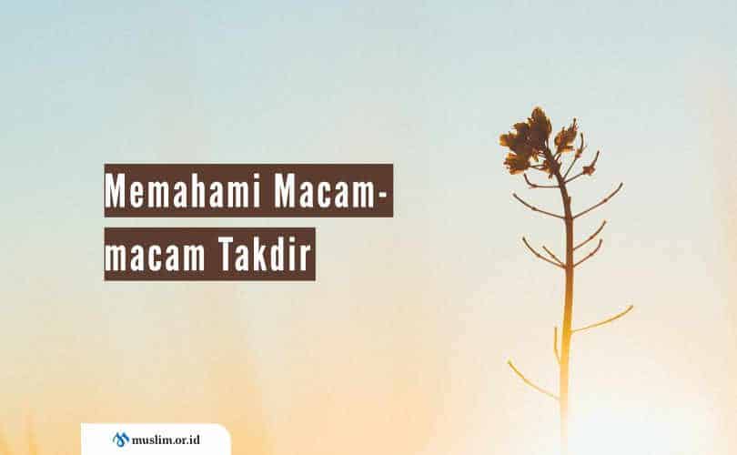 Memahami Macam-macam Takdir