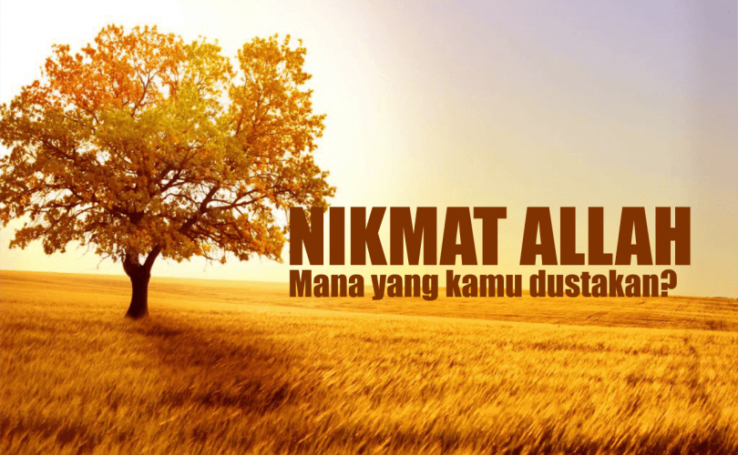 Menyandarkan Nikmat kepada selain Allah Ta’ala