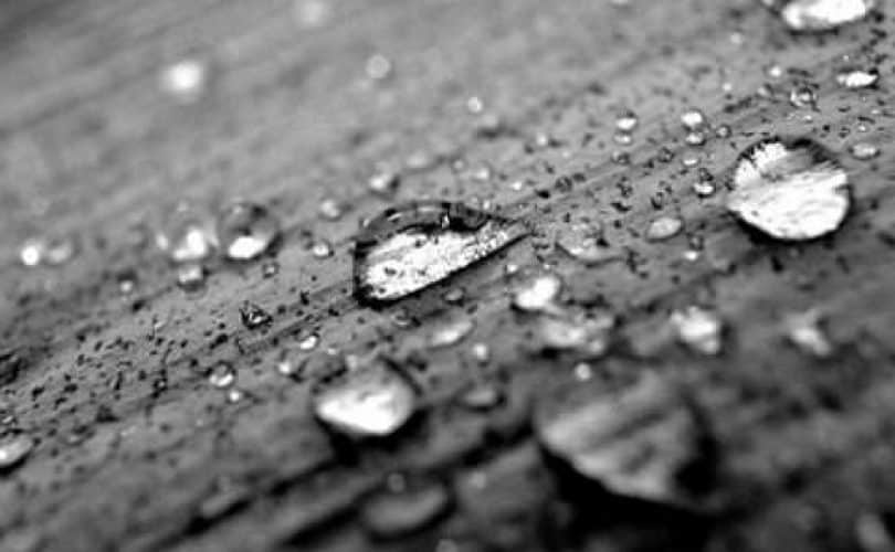 Yang Pandai Menasehati Banyak, Yang Mengamalkan?