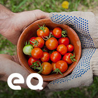 Celakalah Orang yang Enggan Menolong